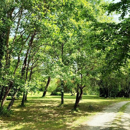 Chambre D'Hotes Le Moulin De Moulis Екстериор снимка