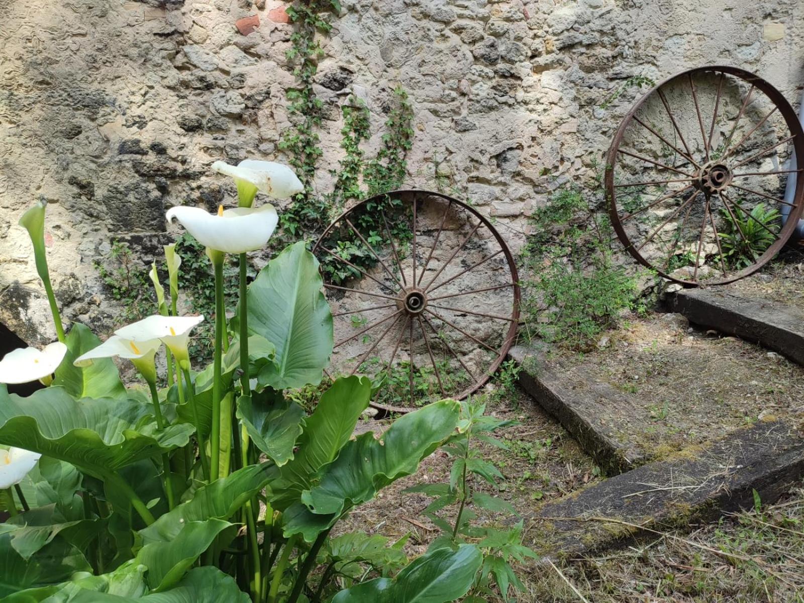 Chambre D'Hotes Le Moulin De Moulis Екстериор снимка