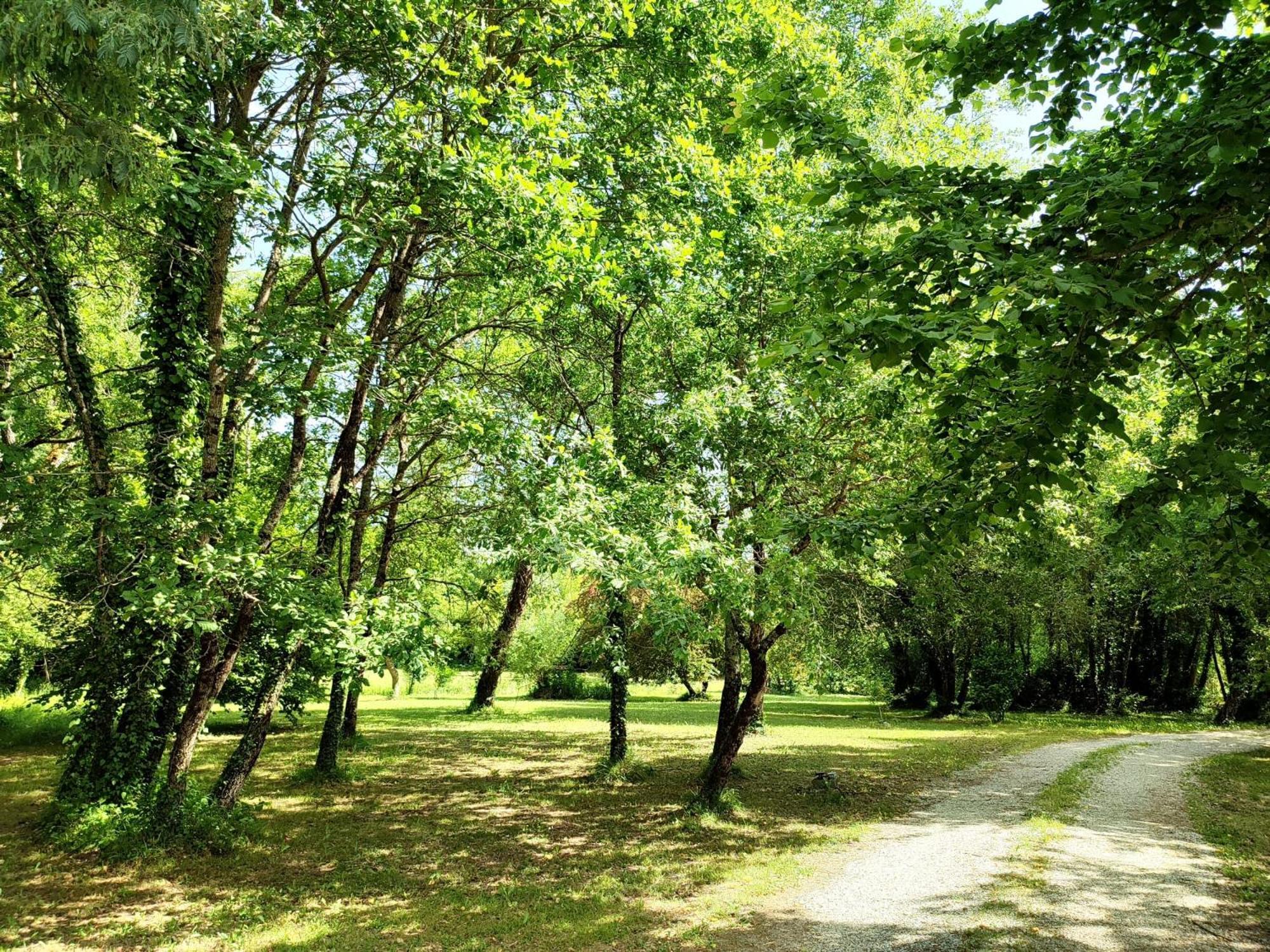 Chambre D'Hotes Le Moulin De Moulis Екстериор снимка